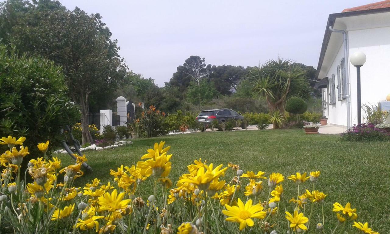 Villa Shambhala 산토바르톨로메오알마레 외부 사진